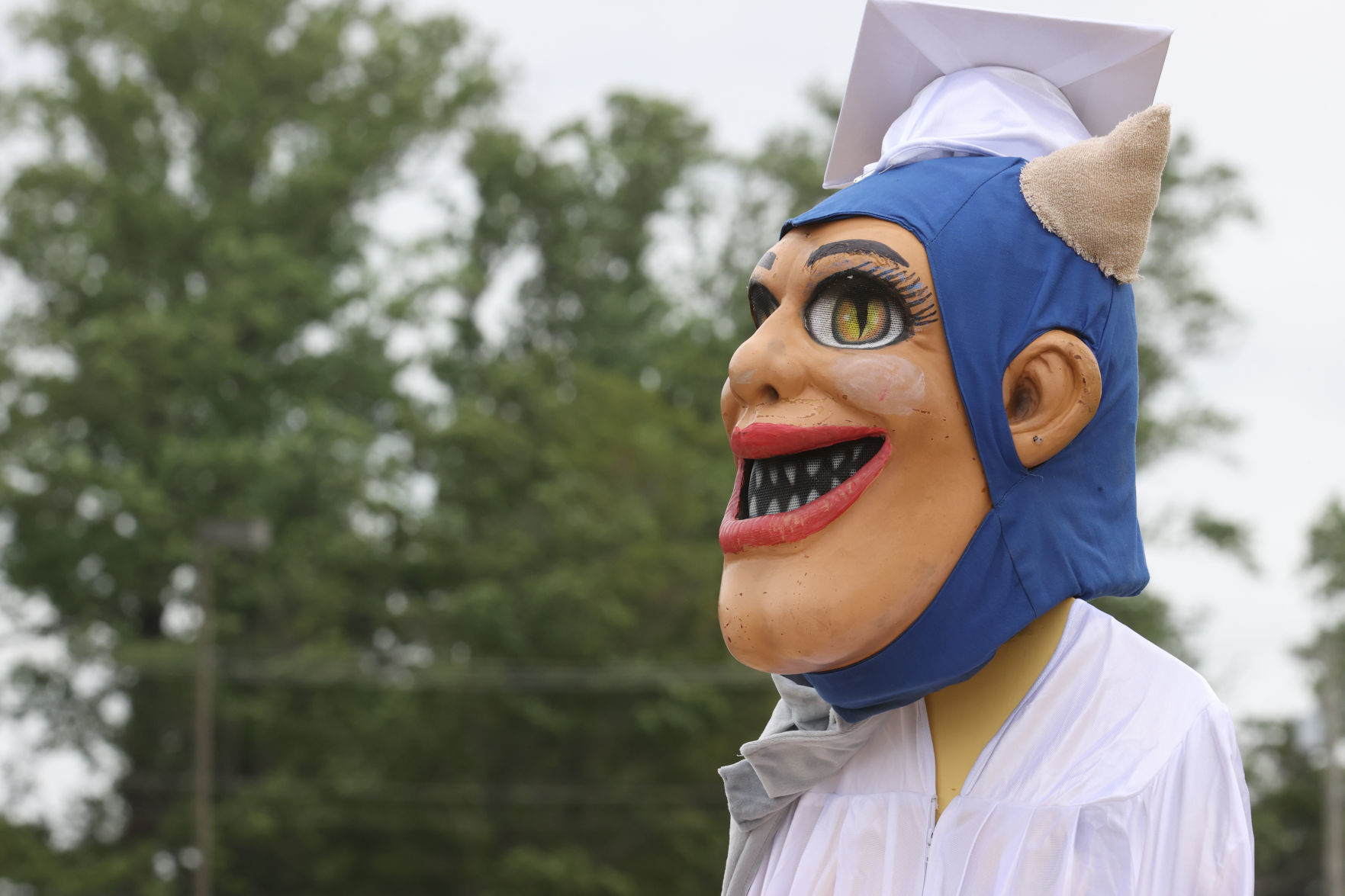 Hammonton Grad